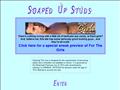 Soaped Up Studs