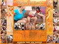 Click the picture for detail, or use direct link Pantyhose For Ladies