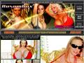 Click the picture for detail, or use direct link BosomBox 3
