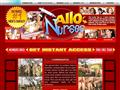 Allo Nurses