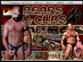 Bears and Cubs