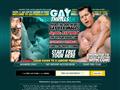 Gay Thrills